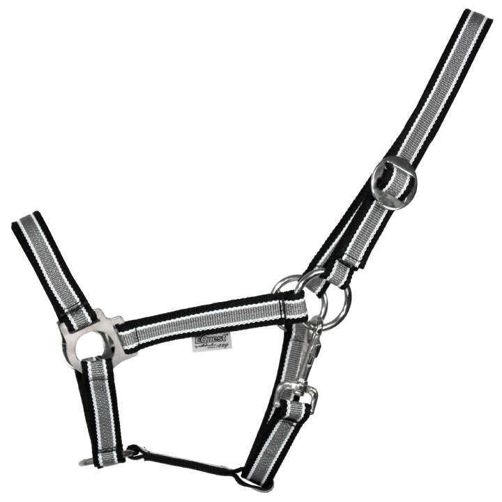 EQuest Halfter+Strick Set